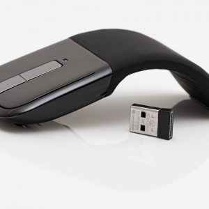 Mouse